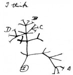 darwin_first_tree