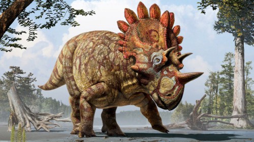 regaliceratops