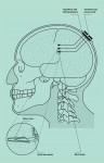 cyborg_chart2