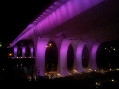 purplebridge
