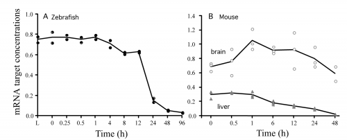 Total mRNA abundance (arbitrary units, a.u.) by postmortem time determined using all calibrated microarray probes. A, extracted from whole zebrafish; B, extracted from brain and liver tissues of whole mice. Each datum point represents the mRNA from two organisms in the zebrafish and a single organism in the mouse. 