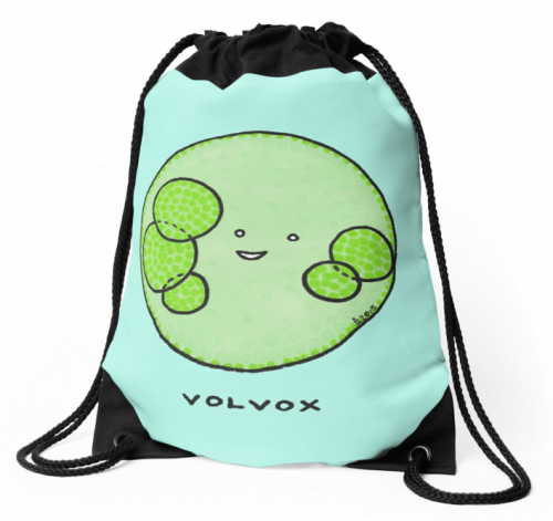 ImmyVolvoxBag