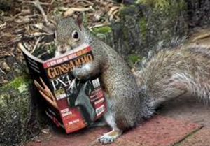 libertarian-squirrels