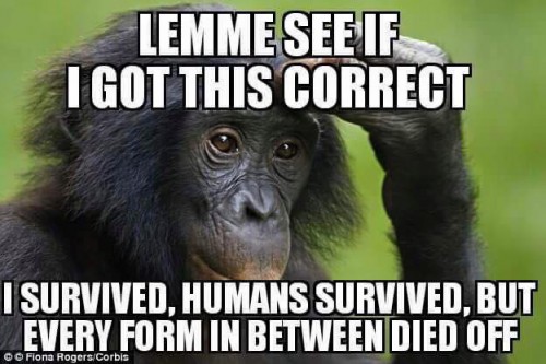 Lemme see if I got this correct.I survived, humans survived, and every form in between died?