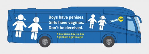 bluesexbus