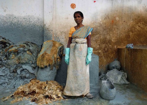 Women pluck hair by hand from goat hides soaked in an alkaline solution to loosen the fibers. This woman  protects herself with gloves and a sheet of plastic wrapped around her sari as she works at a tannery outside Vaniyambad in the Vellore district of Tamil Nadu, India.