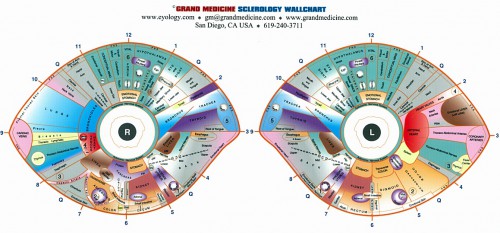 sclerology