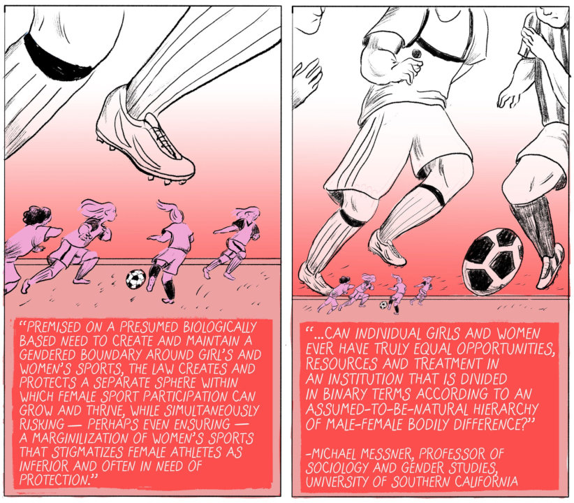 "Premised on a presumed biologically based need to create and maintain a gendered boundary around girl's and women's sports, the law creates and protects a separate sphere within which female sport participation can grow and thrive, while simultaneously risking - perhaps even ensuring - a marginalization of women's sports that stigmatizes female athletes as inferior and often in need of protection. ... Can individual girls and women ever have truly equal opportunities, resources and treatment in an institution that is divided in binary terms according to an assumed-to-be-natural hierarchy of male-female bodily difference?" - Michael Messner