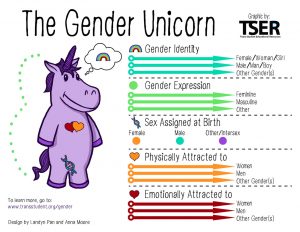The Gender Unicorn, splitting human beings into five sex-related categories, four of which are continua.