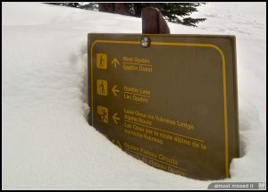 almost missed it (2026): a photo of a trail signpost that's nearly been covered by at least one and a half metres of snow, with a tree just barely in frame behind it.