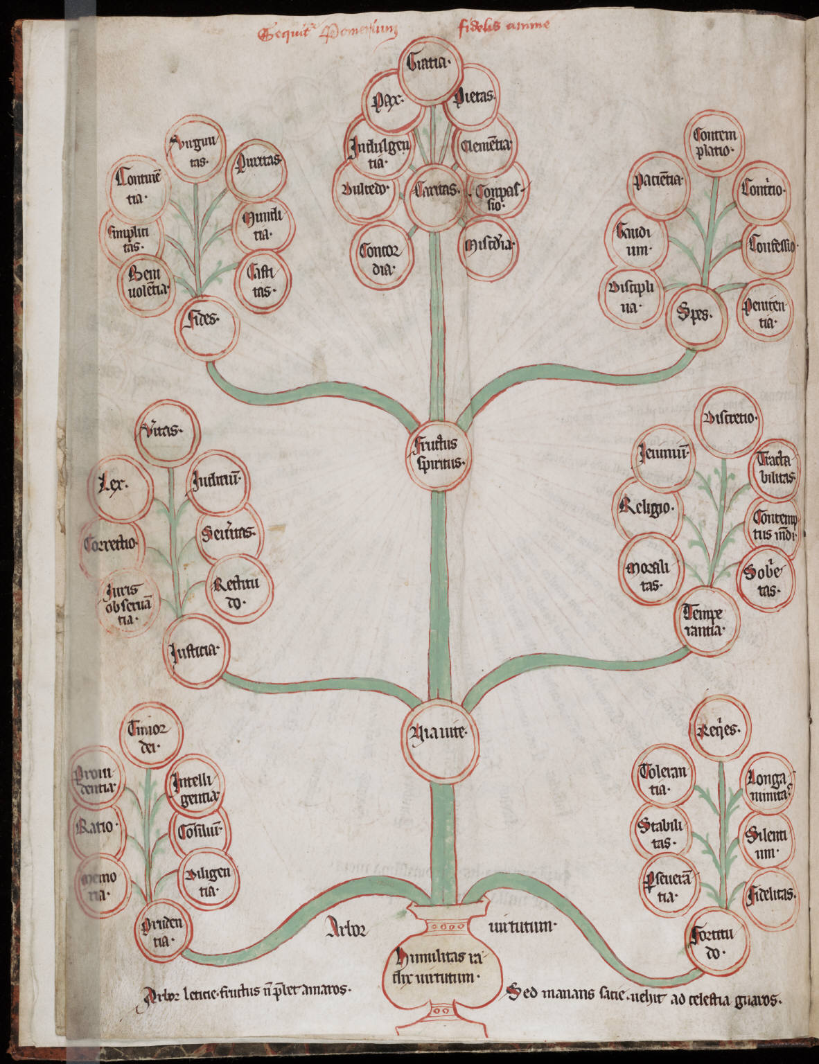 Medieval tree of virtues