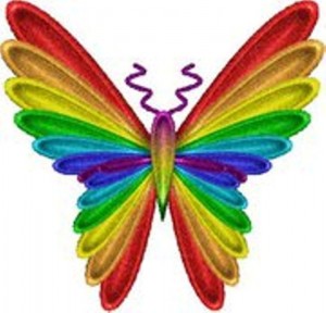 buterfly rainbow resized new